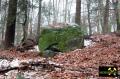 Findling 5 bei Haselberg nahe Wierzen in der Märkischen Schweiz, Brandenburg, (D) (4) 24. Januar 2016.JPG